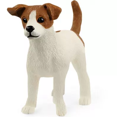 Jack Russell Terrier