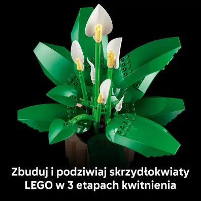 LEGO Botanicals Skrzyd�okwiat 11504