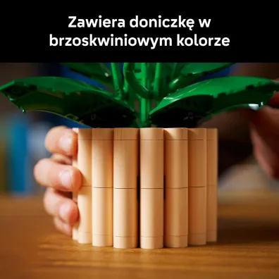 LEGO Botanicals Skrzyd�okwiat 11504