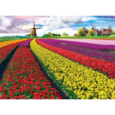 Puzzle 1000 el. Pola tulipan�w w Holandii Eurographics