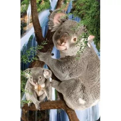 Worth Keeping Mini kartka 3D Koala
