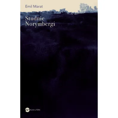 Studnie Norymbergi - Emil Marat