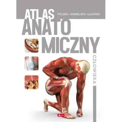Atlas anatomiczny cz�owieka