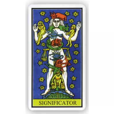 Dame Fortunes Wheel Tarot, karty do wr�enia