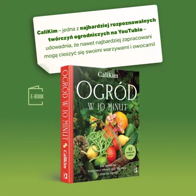 Ogr�d w 10 minut. Jak uprawia� warzywa i owoce, gdy nie masz czasu na ogr�d