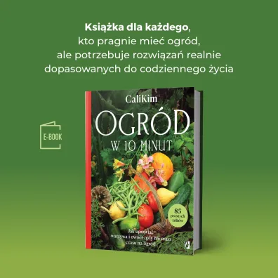 Ogr�d w 10 minut. Jak uprawia� warzywa i owoce, gdy nie masz czasu na ogr�d