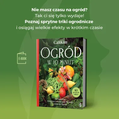 Ogr�d w 10 minut. Jak uprawia� warzywa i owoce, gdy nie masz czasu na ogr�d