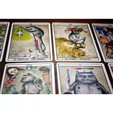 Tarot The Cats by Fournier