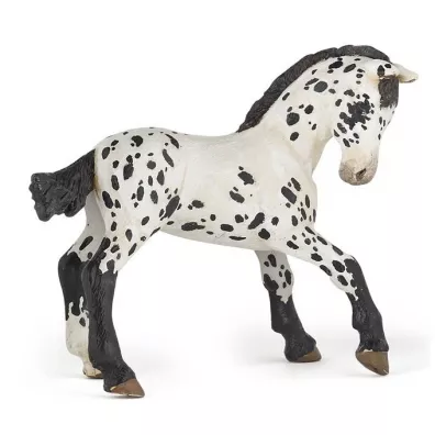 �rebi� Appaloosa