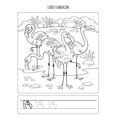 Kolorowanka ze szlaczkiem W ZOO