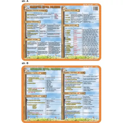 Visual System Podk�adka edukacyjna Gramatyka i ortografia j�zyka polskiego