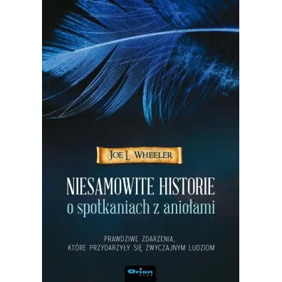 Niesamowite historie o spotkaniach z anio�ami - Joe L Wheeler
