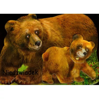 Nied�wiadek LIWONA - Rafa� Wejner