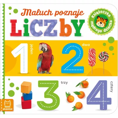 Maluch poznaje liczby. Ksieczka mdrego dziecka - Sylwia  Kajdana