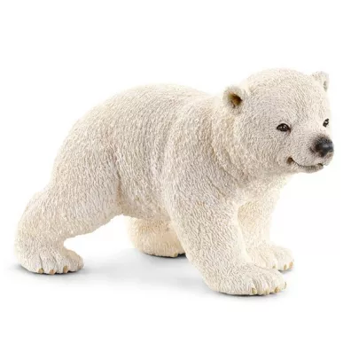 M�ody mi� polarny