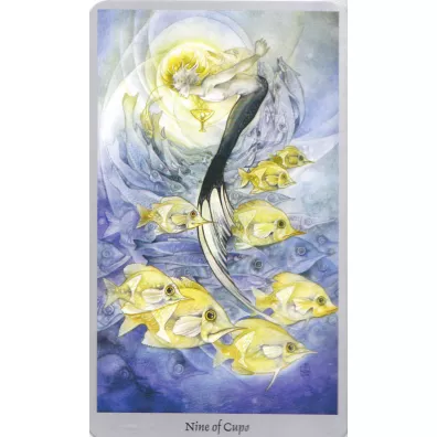 Shadowscapes Tarot, karty do wrenia i ksika