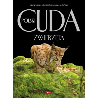 Cuda Polski. Zwierz�ta - �ukasz Przyby�owicz