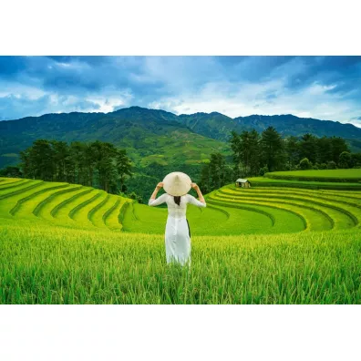 Puzzle 1000 el. Rice Fields in Vietnam Castorland