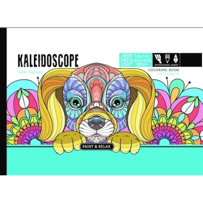 Kolorowanka antystresowa Kaleidoscope