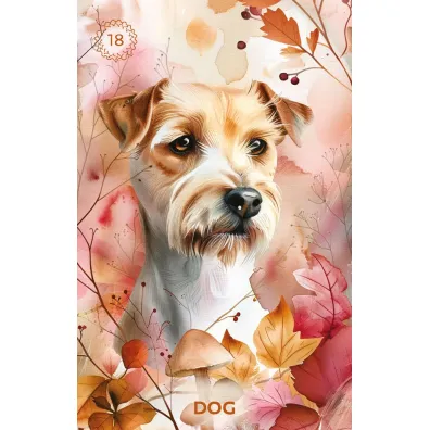Karty Tarot Autumn's Embrace Lenormand