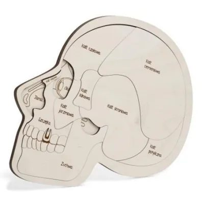 Puzzle drewniane - Urwanie g�owy Sounds Wood