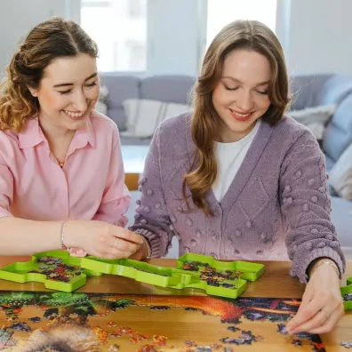 Puzzle 1000 el. DreamScapes: Mistyczny jele� Trefl