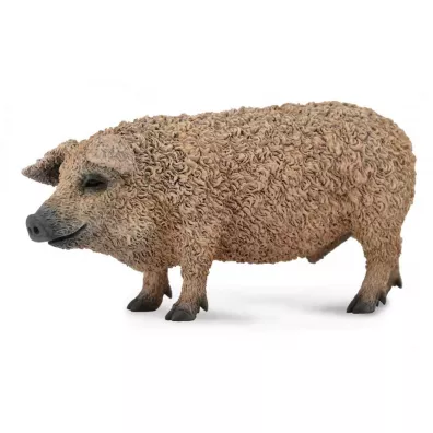 �winia w�gierska Mangalica