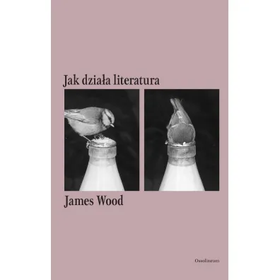 Jak dzia�a literatura - James Wood