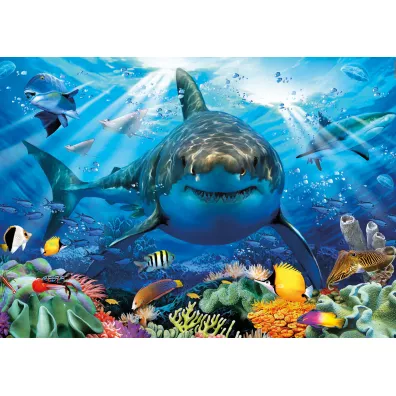 Puzzle 500 el. �ar�acz bia�y Educa