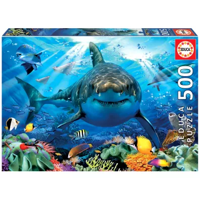 Puzzle 500 el. �ar�acz bia�y Educa