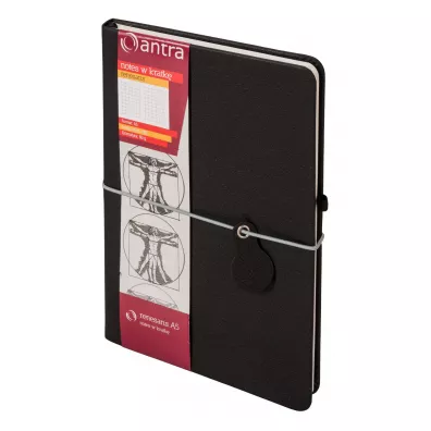 Antra Notes A5 Renesans kratka 192 kartki