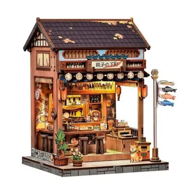 Model Osaka ramen bar Habarri