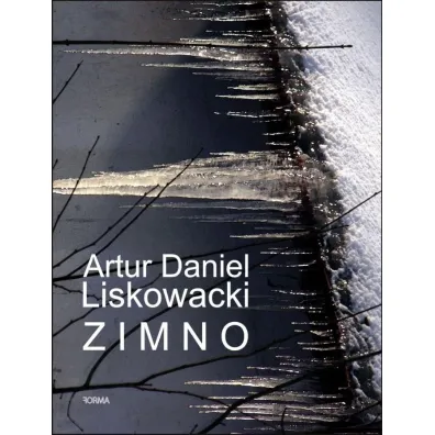 Zimno - Artur Daniel Liskowacki