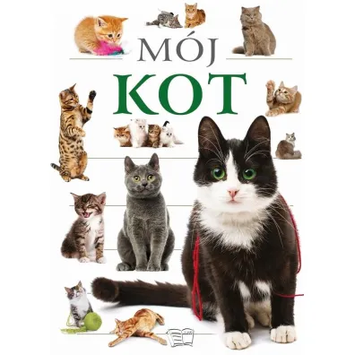 M�j kot