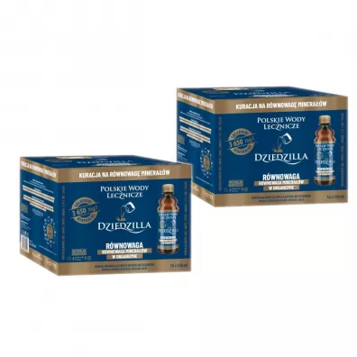 Polskie Wody Lecznicze Woda lecznicza Dziedzilla Zestaw 24 x 330 ml