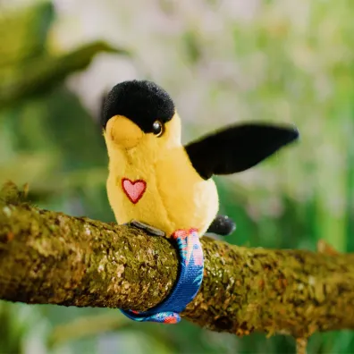 Happy Yappers - Weso�e Gadu�ki Wilga Cobi