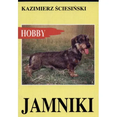Jamniki - Kazimierz �ciesi�ski