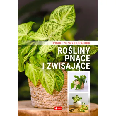 Ro�liny pn�ce i zwisaj�ce. Poradnik praktyczny