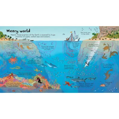 Look Inside Our World wer. angielska