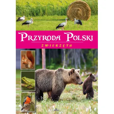 Przyroda Polski. Zwierz�ta - �aneta  Zaj�c