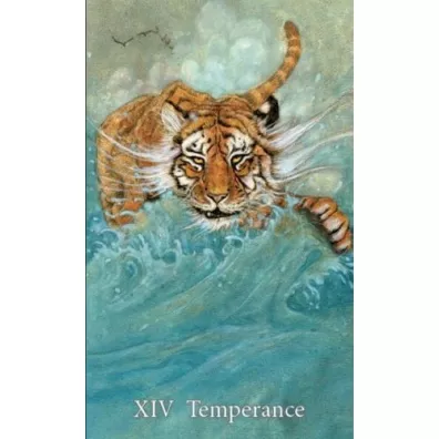 Mary-El Tarot, karty do wrenia