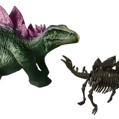 Skamielina dinozaura  2w1 Stegozaur Ses Creative