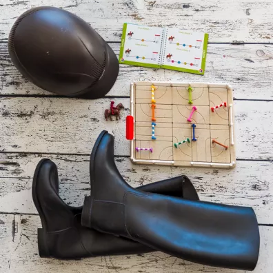Smart Games. Horse Academy (ENG)