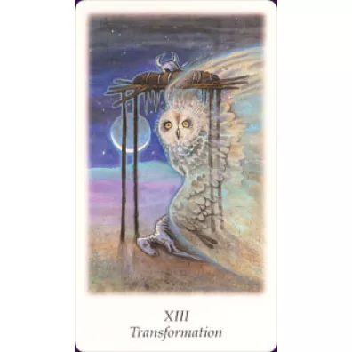 Karty Tarot Vision Quest GB