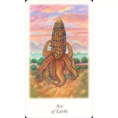 Karty Tarot Vision Quest GB
