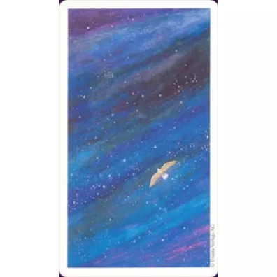 Karty Tarot Vision Quest GB