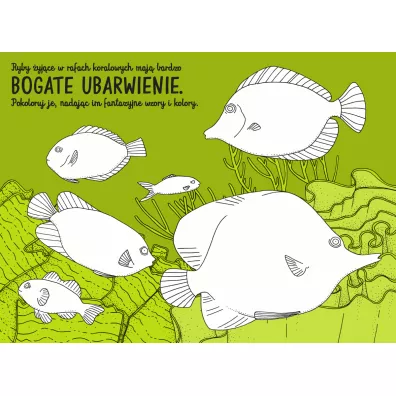 Podwodnik. Szkicownik odkrywcy podwodnego �wiata