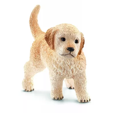 Szczeni� Golden Retriever