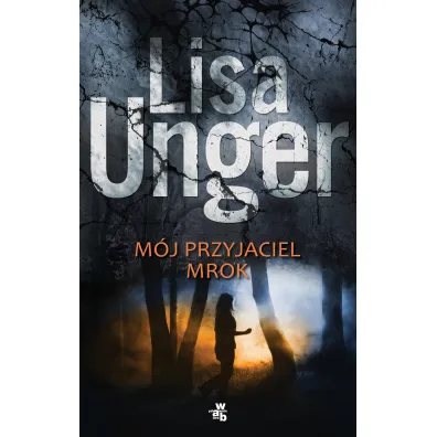 M�j przyjaciel mrok - Lisa Unger