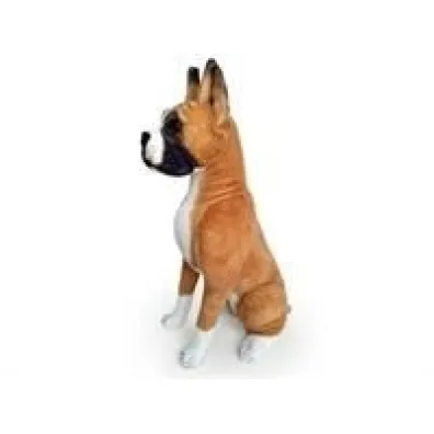 Pies Bokser 65cm Dubi
